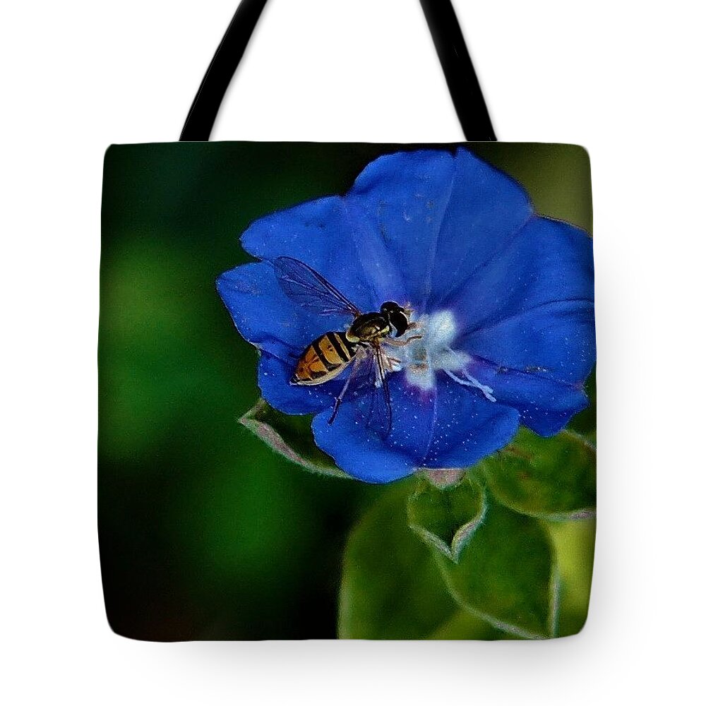 Wasp Tote Bag featuring the photograph Wasp On Carolina Blue by Sandy Poore