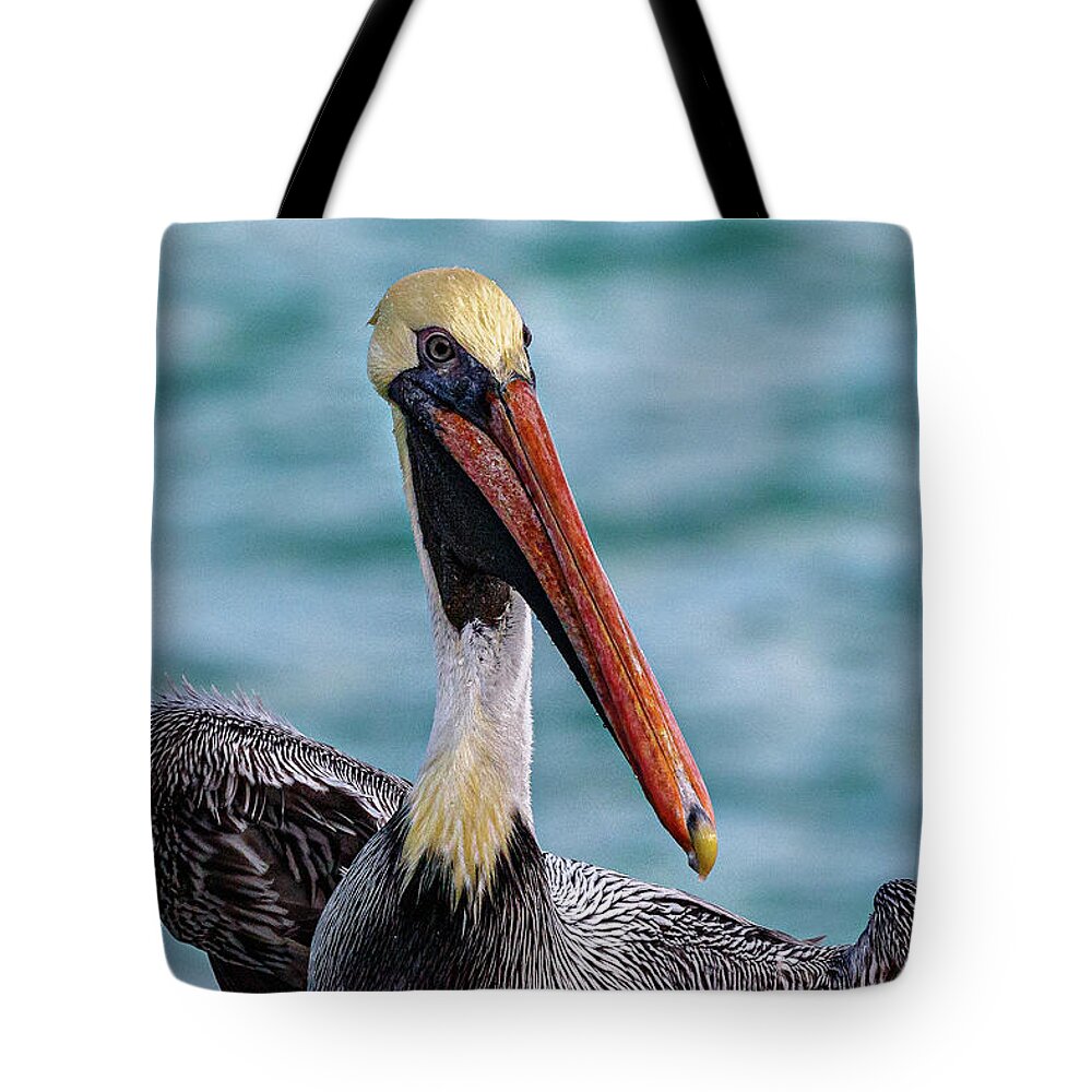 Bird Tote Bag featuring the photograph Watch Out by Les Greenwood