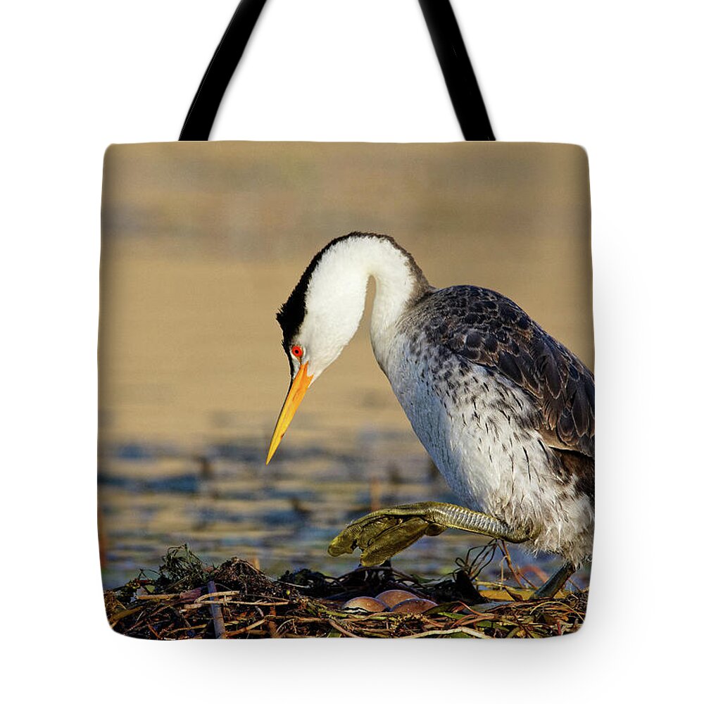Watch Your Step Tote Bag featuring the photograph Watch Your Step -- Clark's Grebe Nest with Eggs at Santa Margarita Lake, California by Darin Volpe