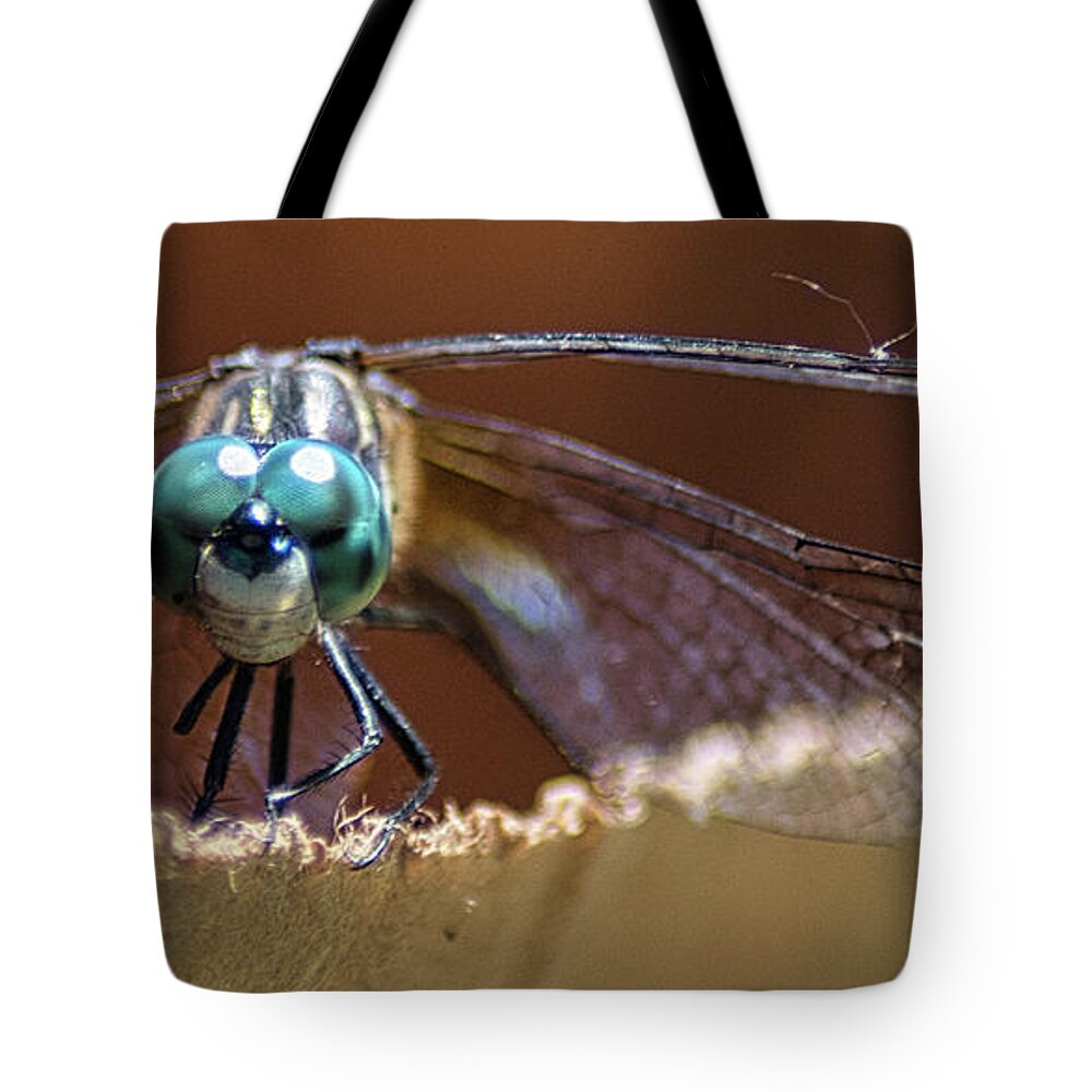 Insect Tote Bag featuring the photograph Watched by a Dragonfly by Portia Olaughlin