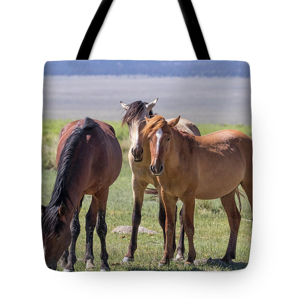 Eastern Sierra Tote Bag featuring the photograph Watchful by Cheryl Strahl