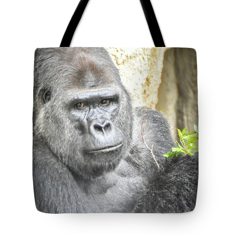 Gorilla Tote Bag featuring the photograph Watchful silverback by Ed Stokes
