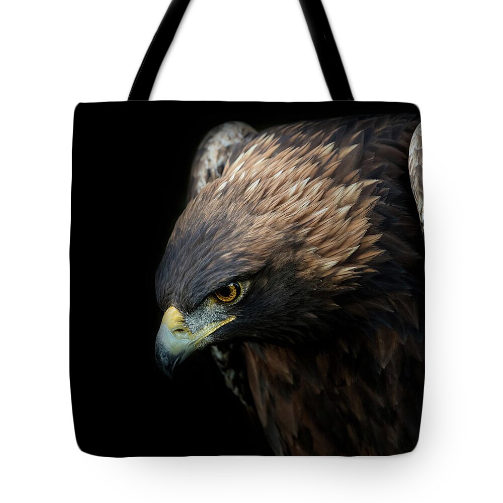 Eagle Tote Bag featuring the photograph Watching by CR Courson