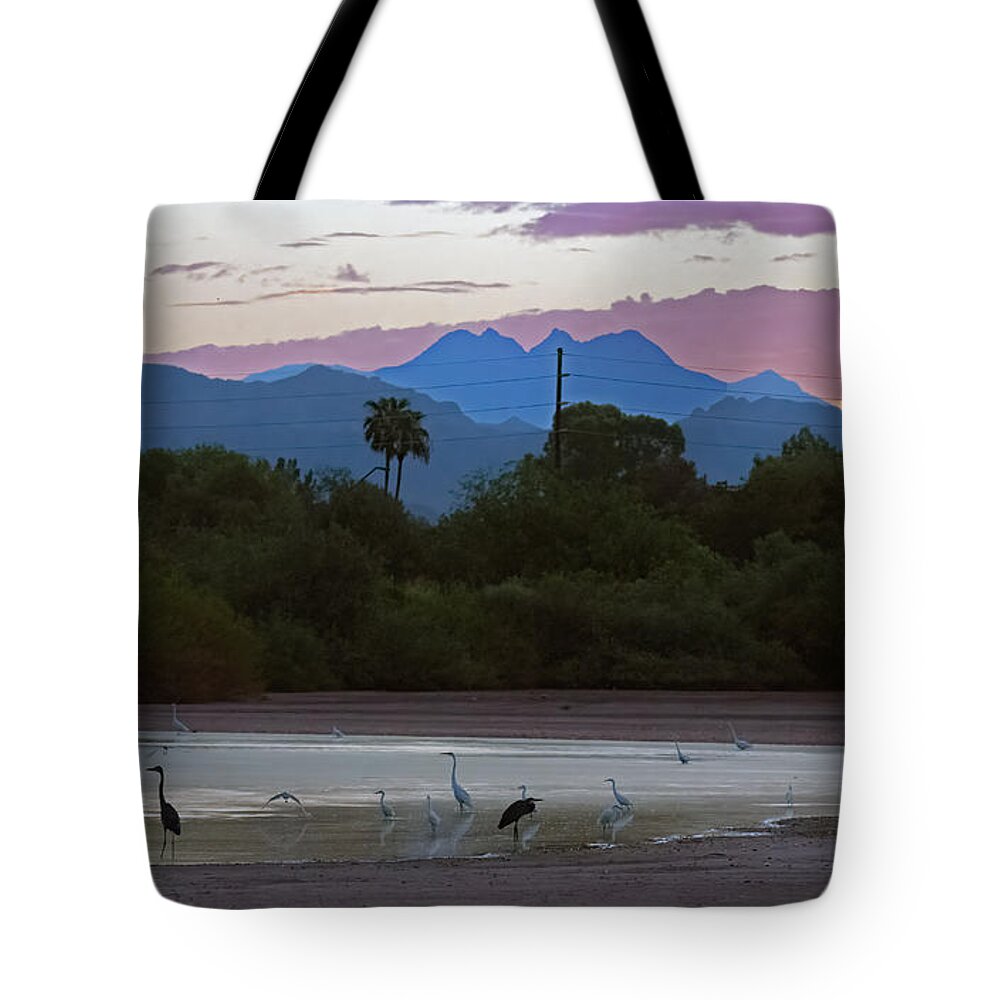 Great Egrets Tote Bag featuring the photograph Water Birds Early Morning 4281-073021-2 by Tam Ryan