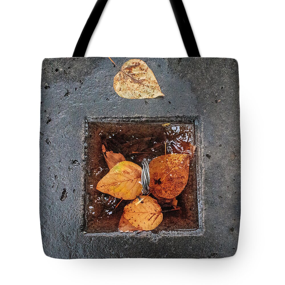 Leaves Tote Bag featuring the photograph Water in Concrete with Leaves by Mary Lee Dereske