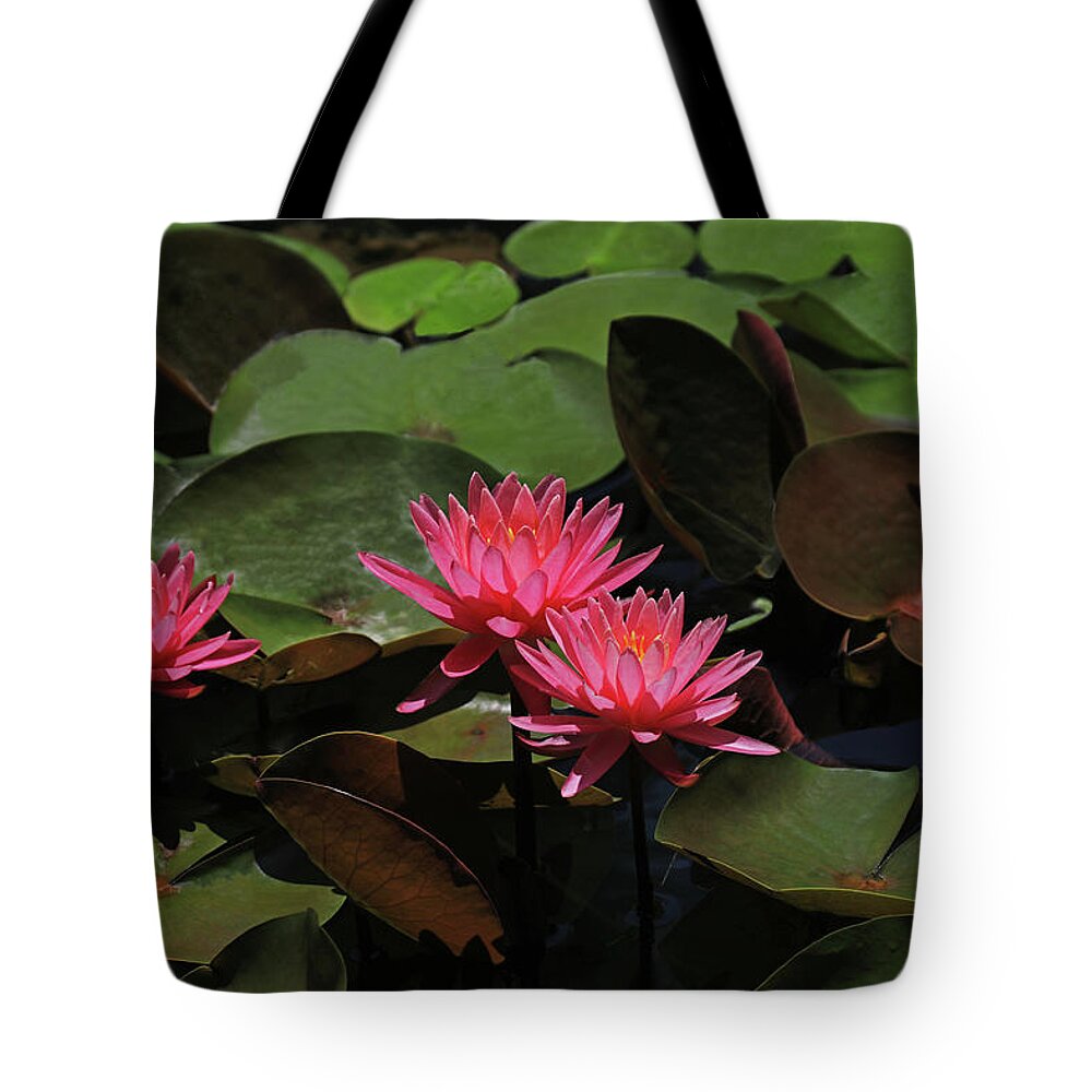 Water Lily Tote Bag featuring the photograph Water Lilies 7 by Richard Krebs