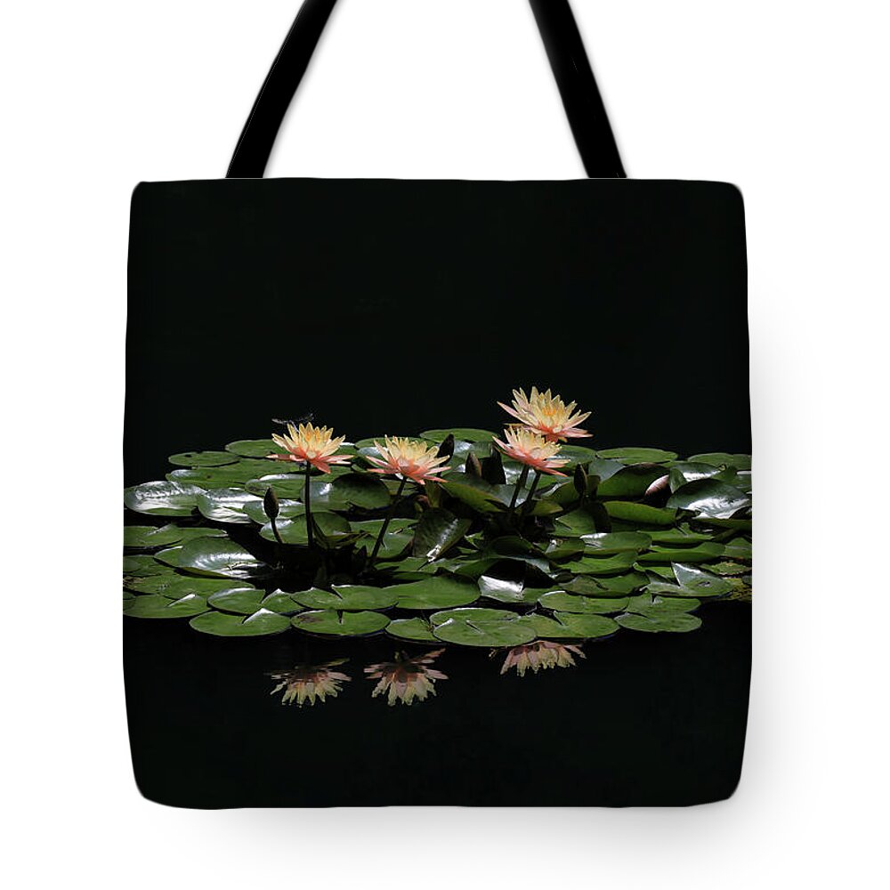 Water Lily Tote Bag featuring the photograph Water Lilies 8 by Richard Krebs