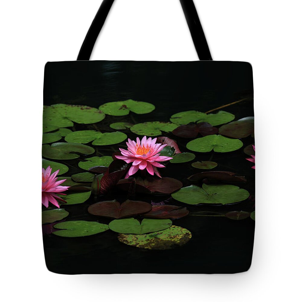 Water Lily Tote Bag featuring the photograph Water Lilies 9 by Richard Krebs
