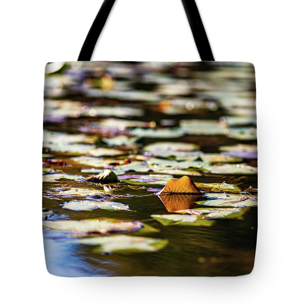 Landscapes Tote Bag featuring the photograph Water Lilies in Autumn by Amelia Pearn