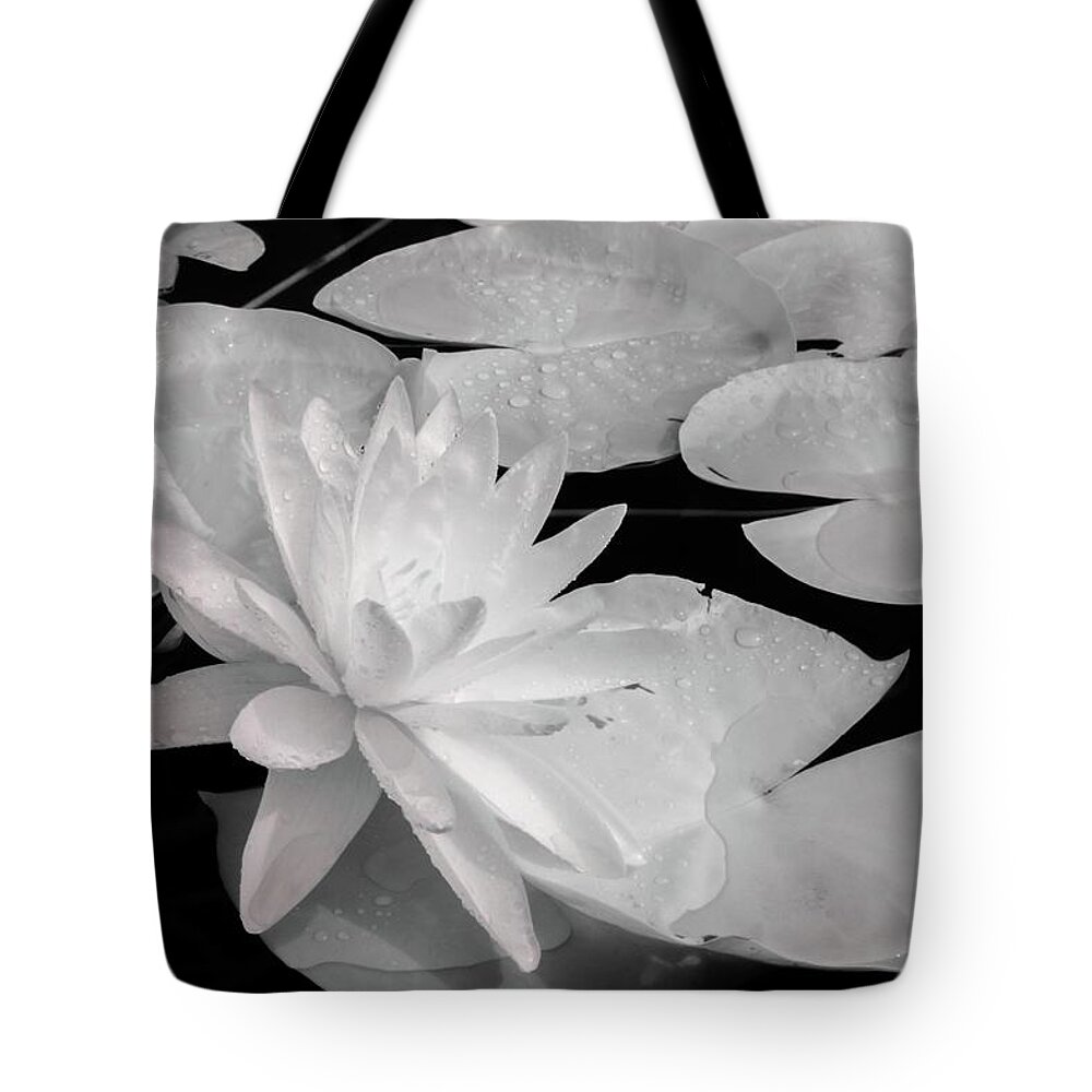 Flowering Tote Bag featuring the photograph Water Lily in Infrared by Liza Eckardt