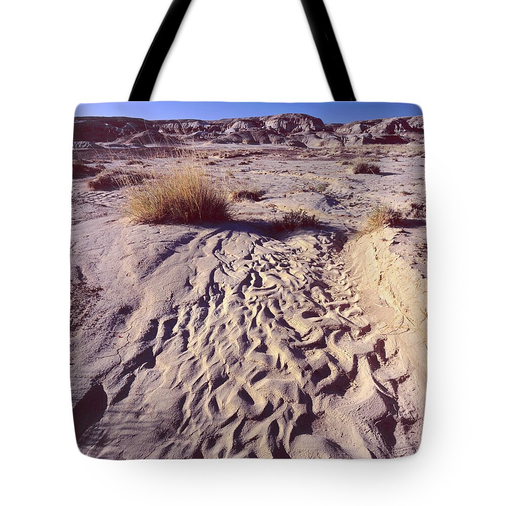 New Mexico Tote Bag featuring the photograph Water Tracks by Tom Daniel