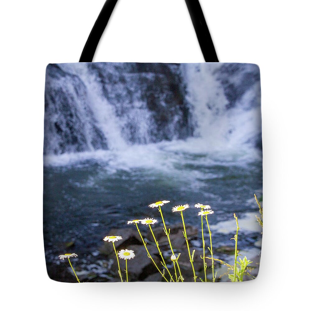 Waterfall Tote Bag featuring the photograph Waterfall Daisies by William Norton
