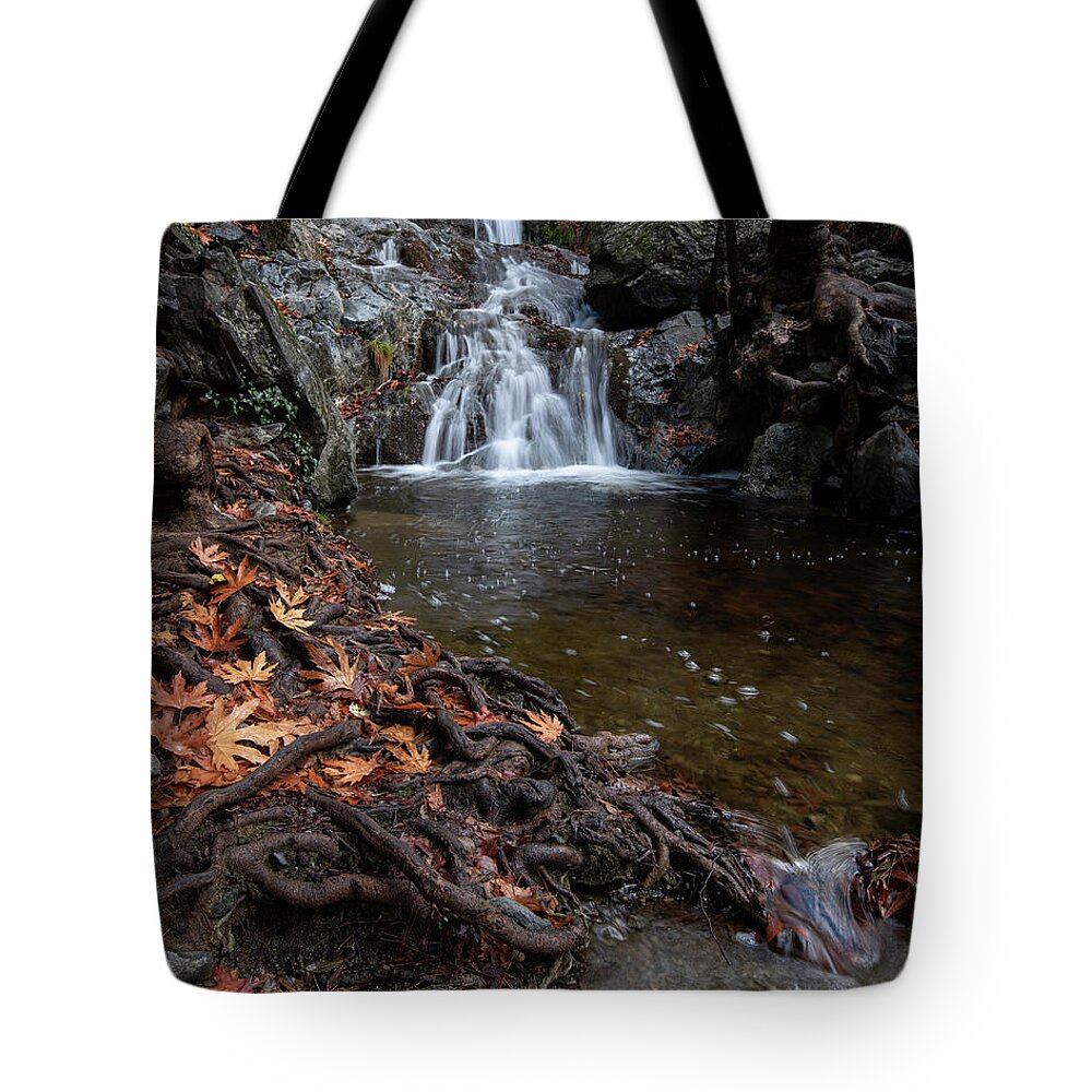 Waterfall Tote Bag featuring the photograph Waterfall in autumn. by Michalakis Ppalis