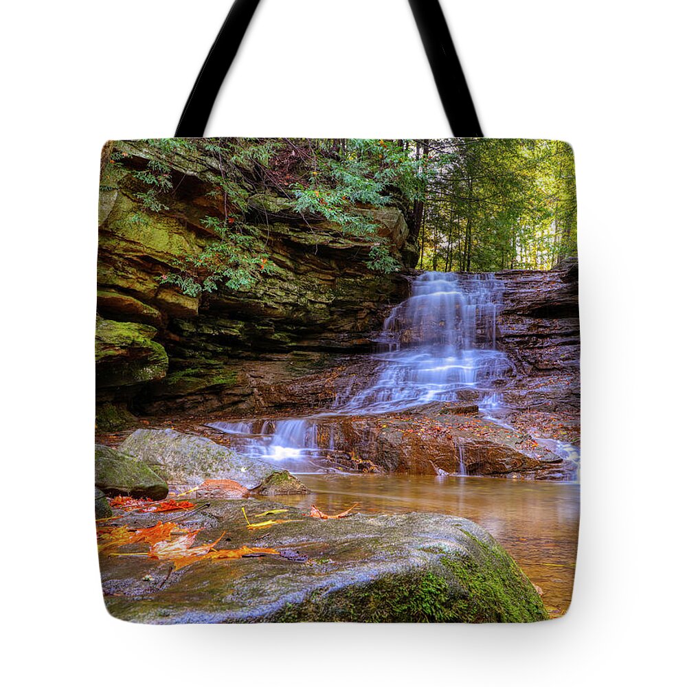 Stone Tote Bag featuring the photograph Waterfall in Early Autumn by Ron Grafe