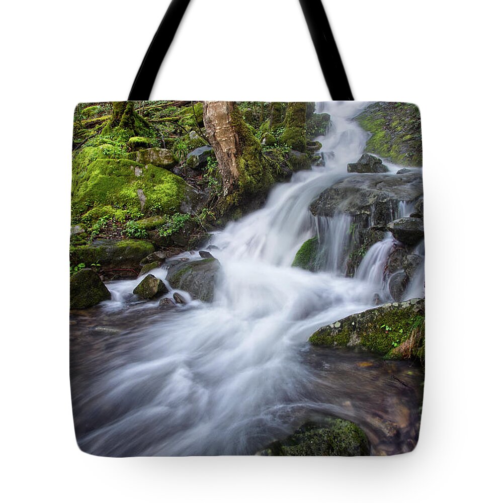 Tremont Tote Bag featuring the photograph Waterfall In The Smokies 3 by Phil Perkins