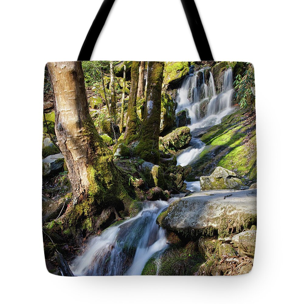Tennessee Tote Bag featuring the photograph Waterfall In The Smokies by Phil Perkins
