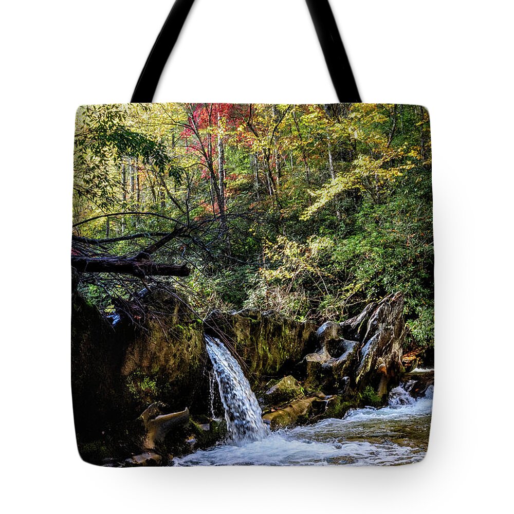 Carolina Tote Bag featuring the photograph Waterfall in the Smoky Mountains Autumn by Debra and Dave Vanderlaan