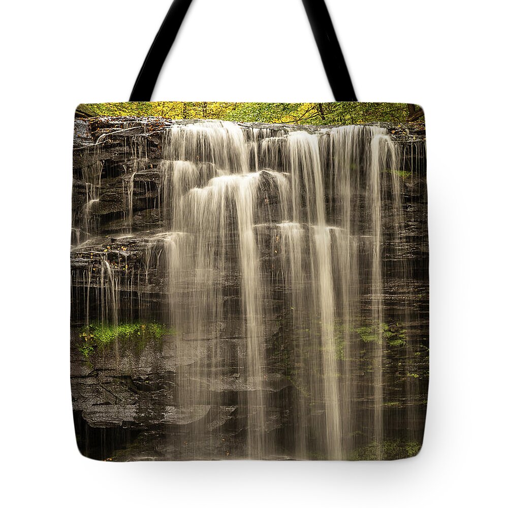 Ricketts Glen Tote Bag featuring the photograph Waterfalls in the fall by Robert Miller