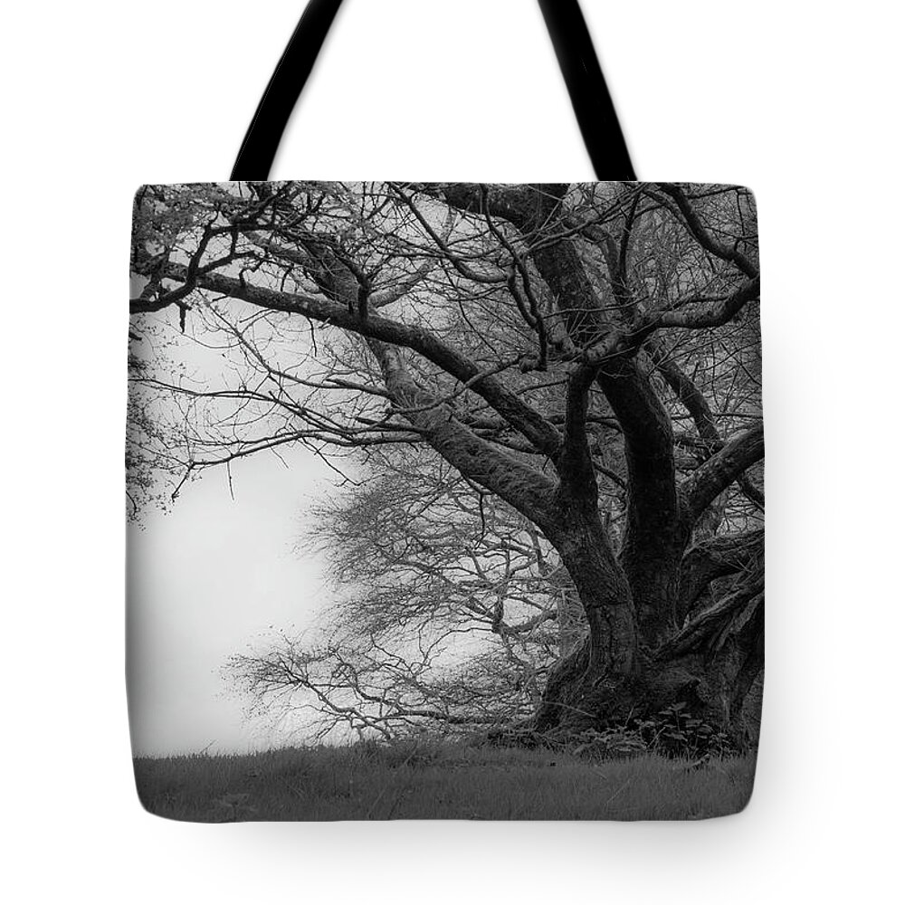 Hare Tote Bag featuring the photograph Watership Down by Rob Hemphill