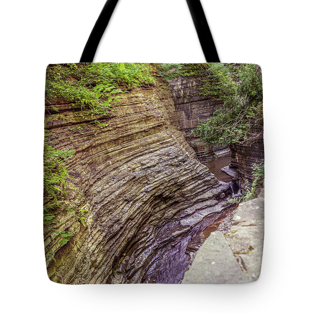 Gorge Tote Bag featuring the photograph Watkins Glen State Park 7 by William Norton