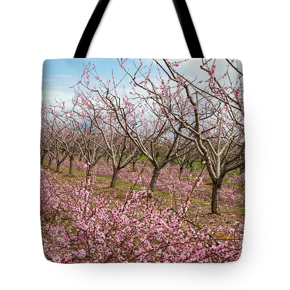 Blossoms Tote Bag featuring the photograph Waves of Pink by Marilyn Cornwell