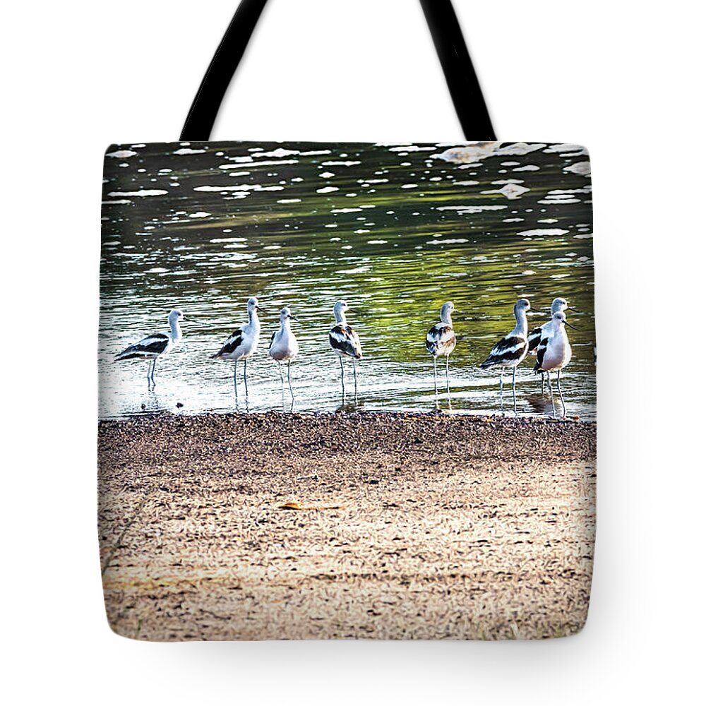 Great Salt Plains Lake Tote Bag featuring the photograph We Made It Now What by Debra Martz