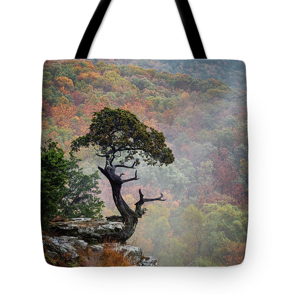 Magazine Mountain Tote Bag featuring the photograph Weathered Cedar by James Barber