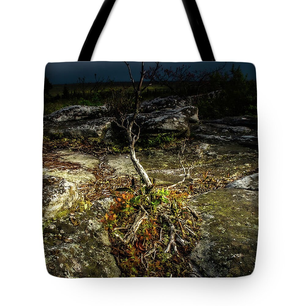Landscape Tote Bag featuring the photograph Weathered by Jason Funk