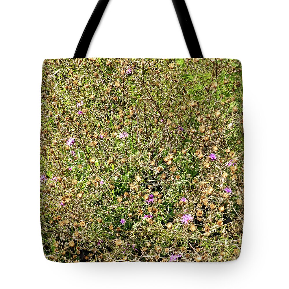 Detailed Tote Bag featuring the photograph Weeds, Dried Wildflowers and Bloomed Wildflowers Under Threat By Saratoga Hospital Development by Lise Winne