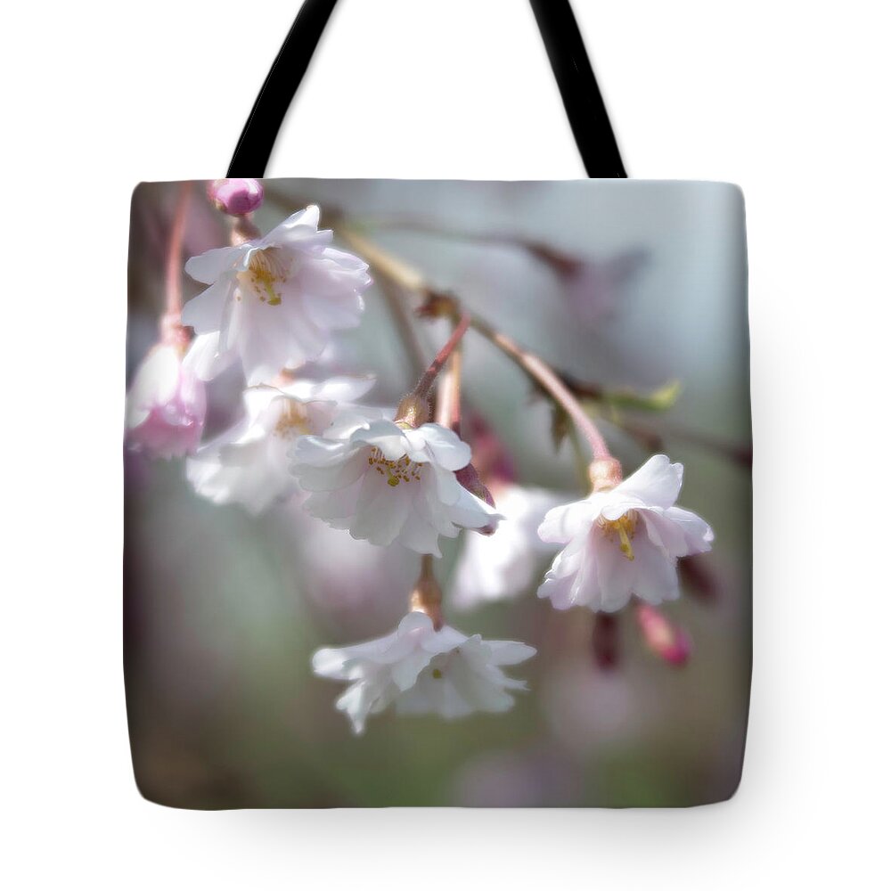 Weeping Cherry Tote Bag featuring the photograph Weeping Cherry by Forest Floor Photography