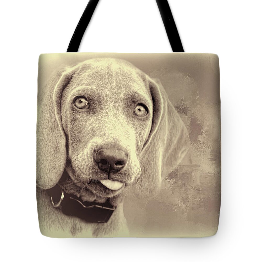 Weimaraner Tote Bag featuring the photograph Weimaraner Puppy Sepia by Elisabeth Lucas