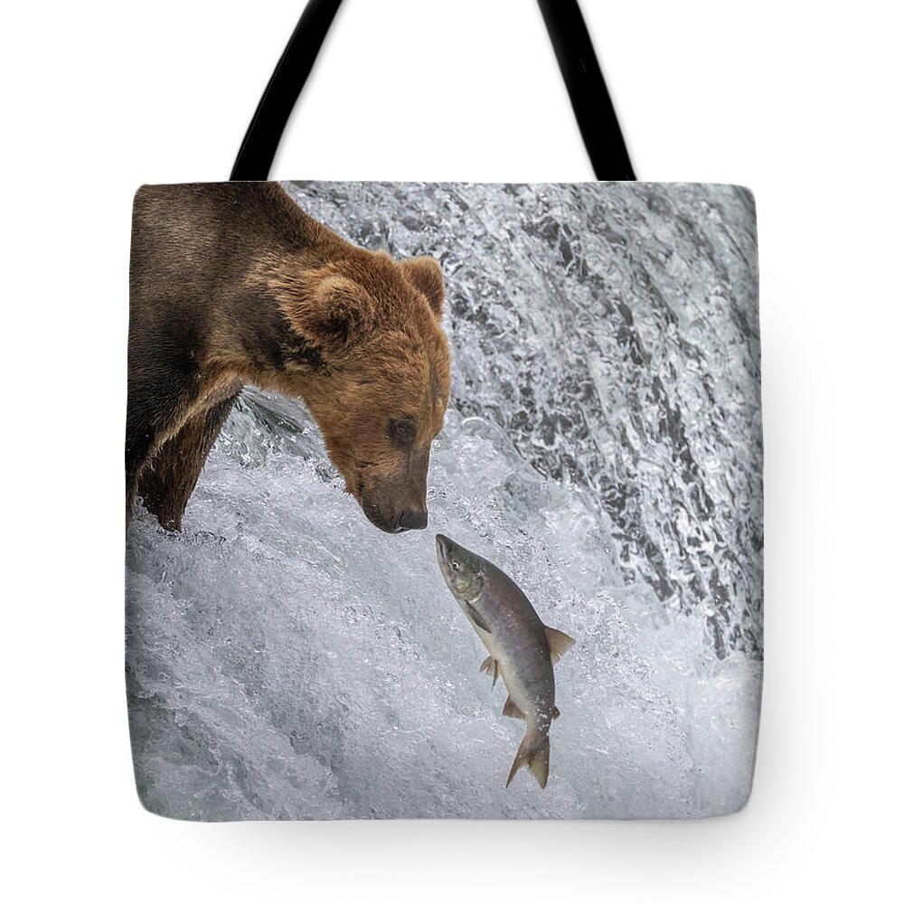 Bear Tote Bag featuring the photograph Well This is Awkward by Randy Robbins