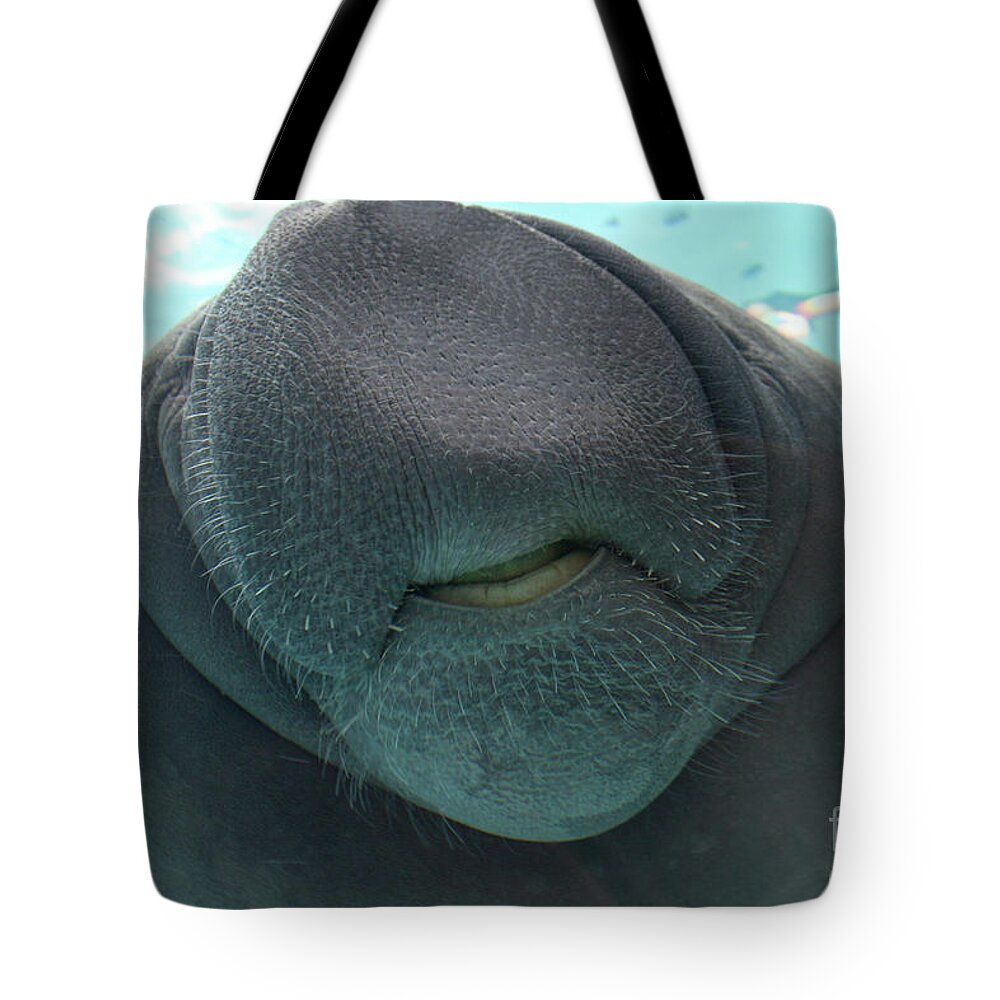 West Indian Manatee Tote Bag featuring the photograph West Indian Manatee Smile by Meg Rousher