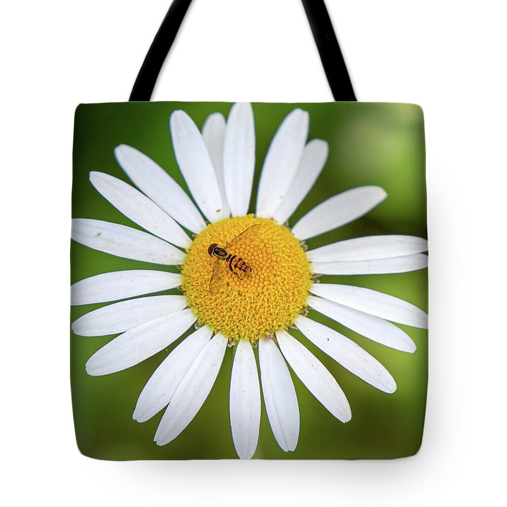 Great Smoky Mountains National Park Tote Bag featuring the photograph Western Calligrapher on an Oxeye Daisy by Robert J Wagner