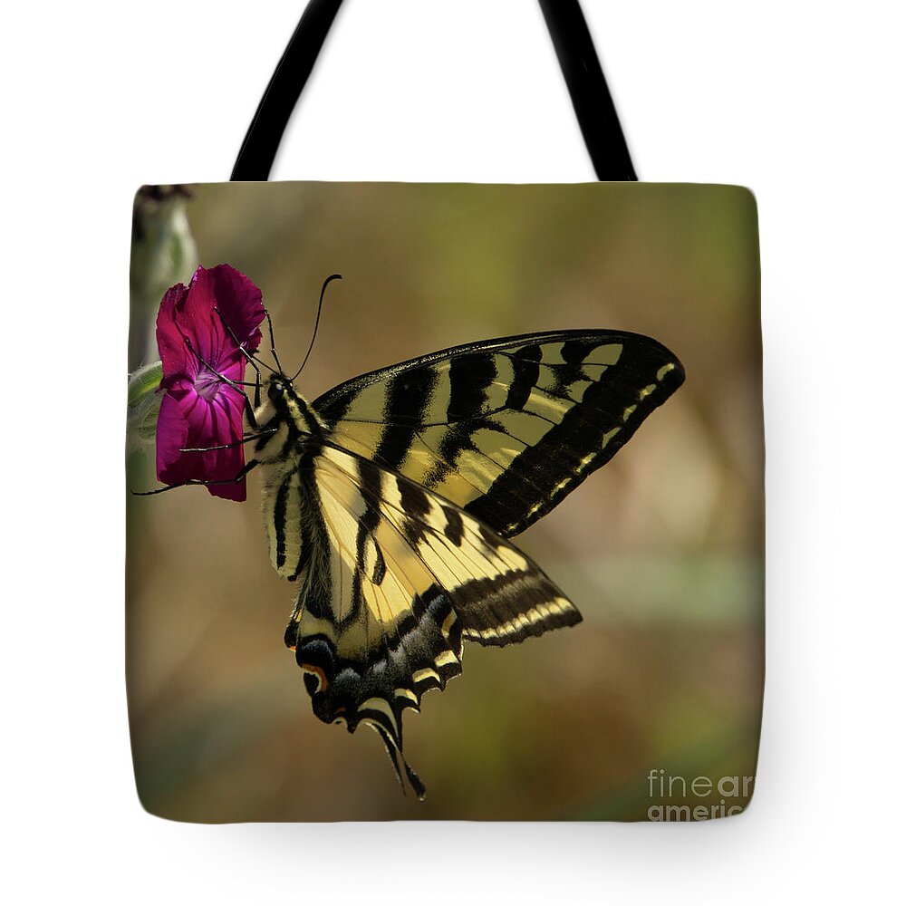 Western Tiger Swallowtail Tote Bag featuring the photograph Western Tiger Swallowtail Butterfly Clings to Wildflower by Nancy Gleason