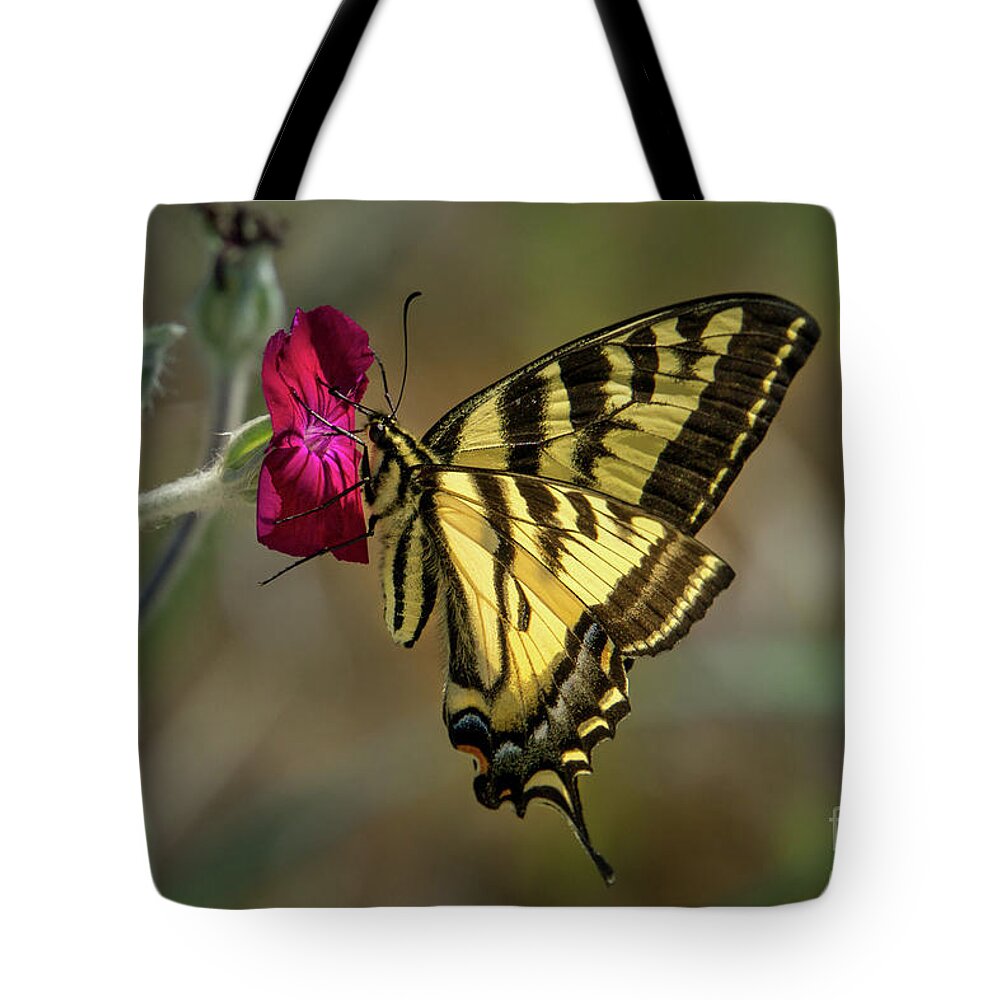 Western Tiger Swallowtail Tote Bag featuring the photograph Western Tiger Swallowtail on Rose Campion Flower #3 by Nancy Gleason