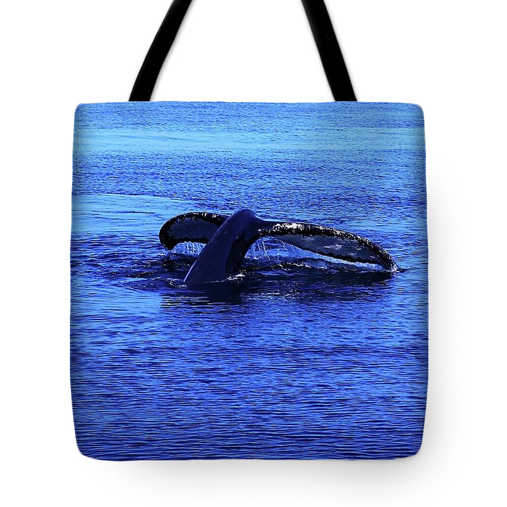 Whales Tote Bag featuring the photograph Whale Watching 7 by Christopher James
