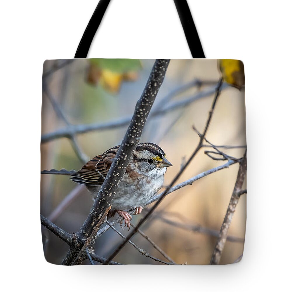 Bird Tote Bag featuring the photograph What a Gift by Linda Bonaccorsi