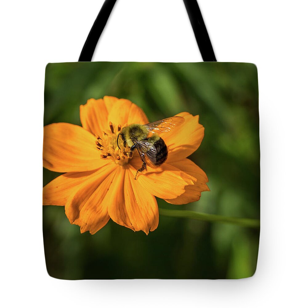 2017 Tote Bag featuring the photograph What's the Buzz? by Gerri Bigler