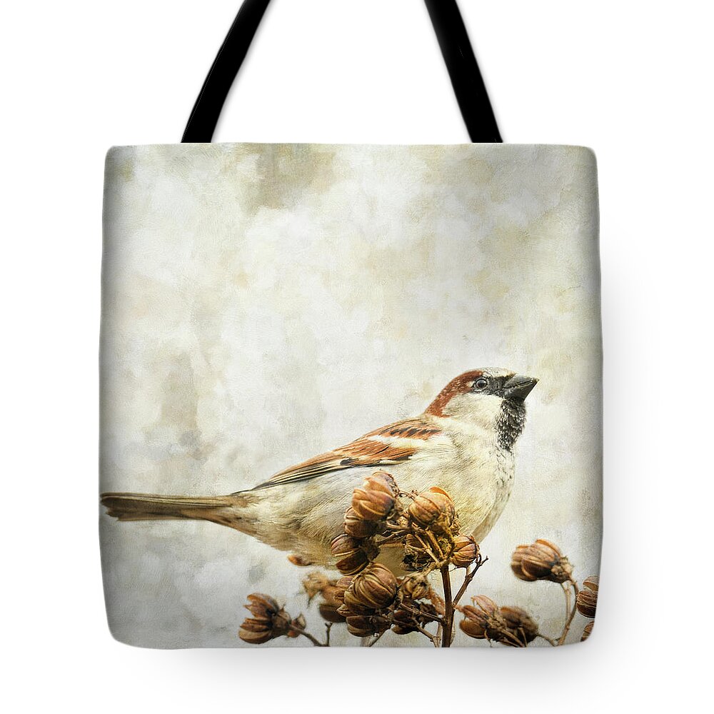 Backyard Birds Tote Bag featuring the photograph Where The Sparrow Perches by Jai Johnson