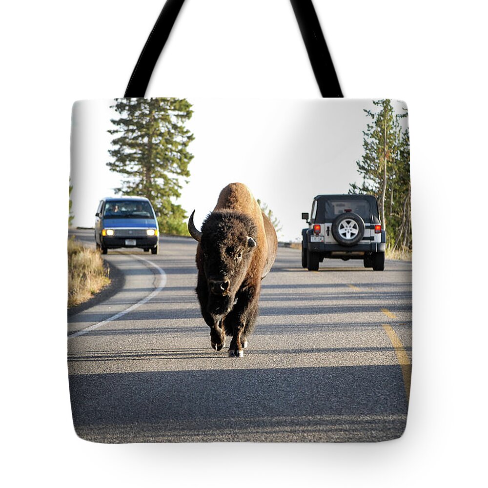 Buffalo Tote Bag featuring the photograph Where The Buffalo Roam - Bison, Yellowstone National Park, Wyoming by Earth And Spirit
