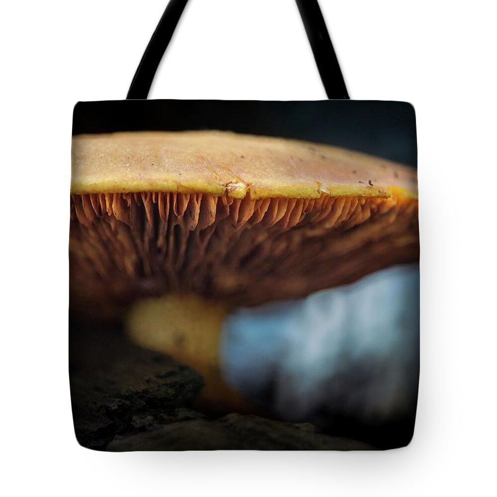 Mushroom Tote Bag featuring the photograph Where's Alice by RicharD Murphy