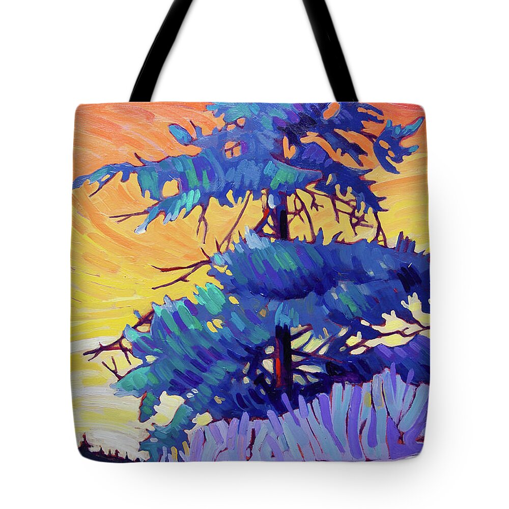 Landscape Canadian Paintings Oil Paintings Prints Original Paintings Canadian Art Tote Bag featuring the painting Whiffin Morning by Rob Owen