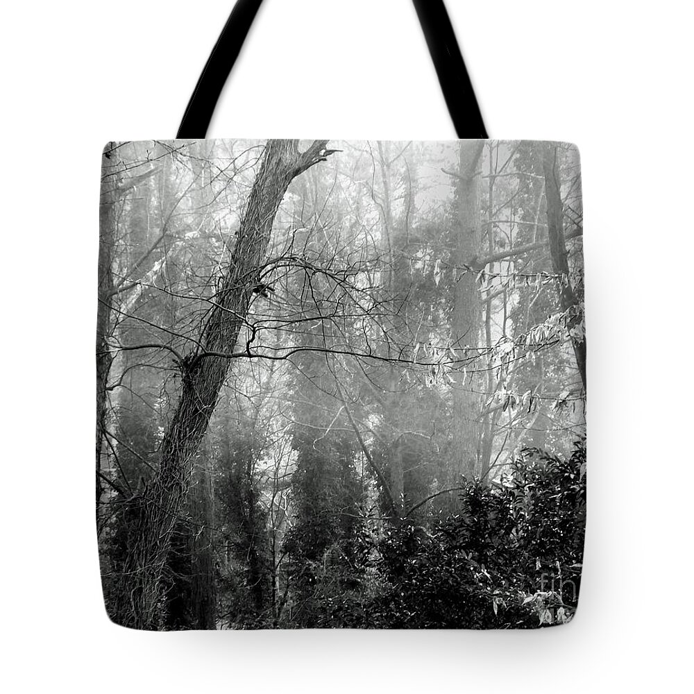 Fog Tote Bag featuring the photograph Whitby65 Floodplain Forest by Lizi Beard-Ward