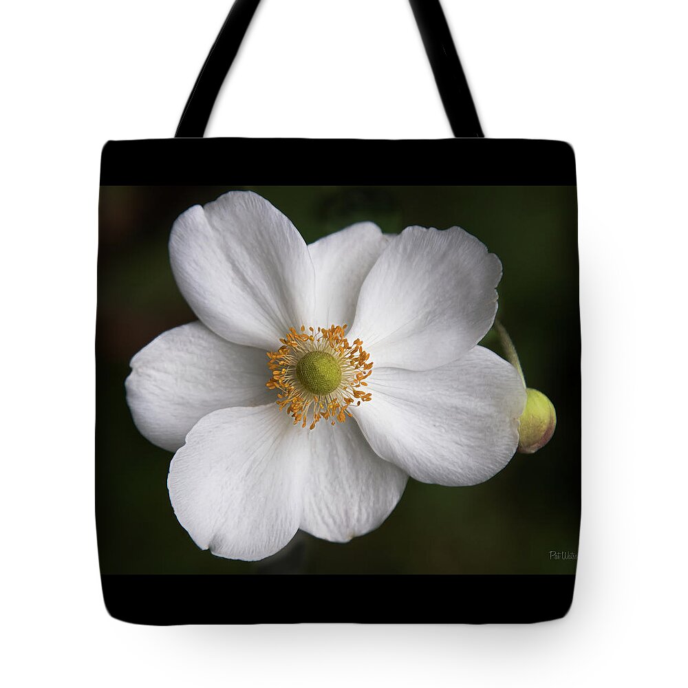 Anemone Tote Bag featuring the photograph White Japanese Anemone by Pat Watson