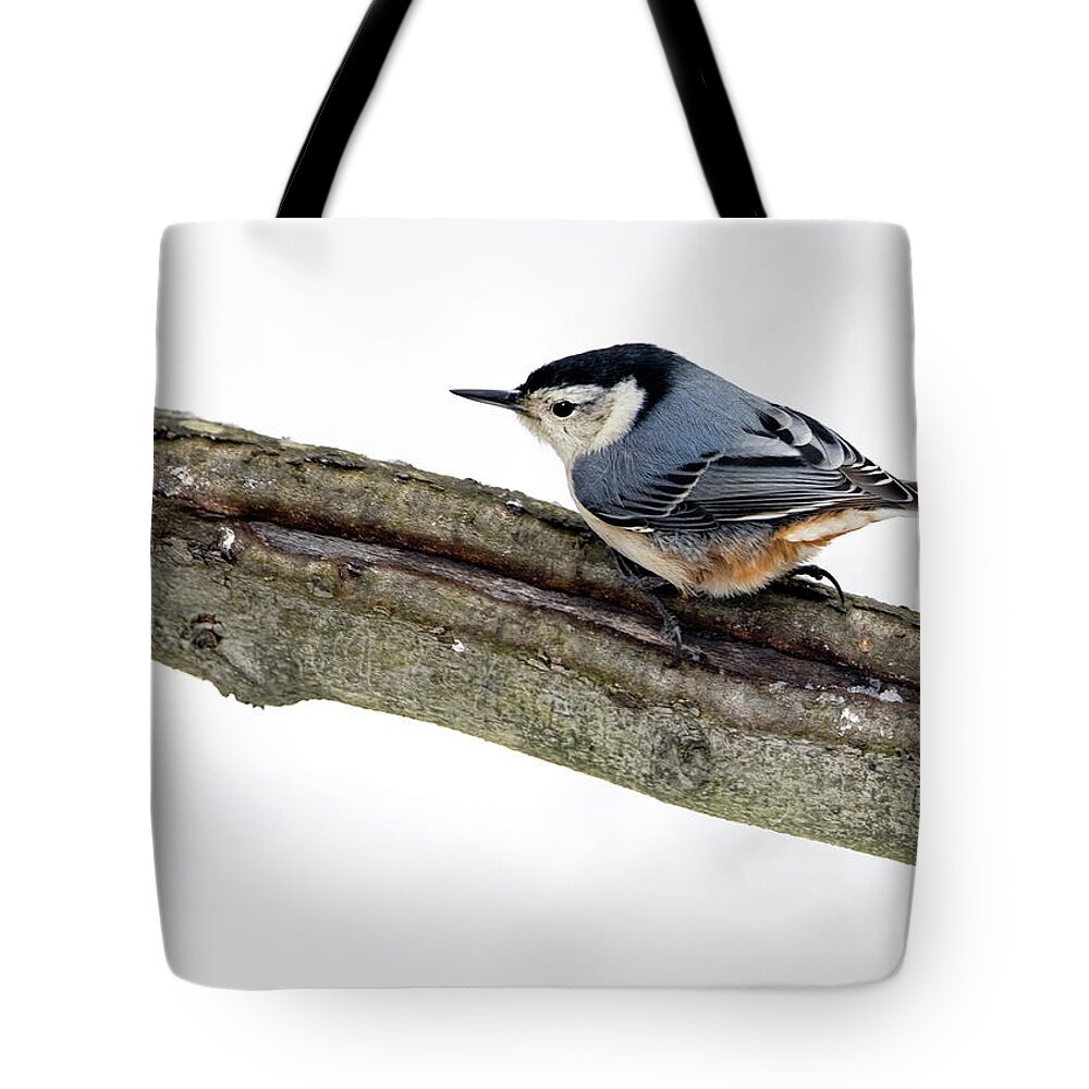Woodpecker Tote Bag featuring the photograph White-breasted Nuthatch by Art Cole