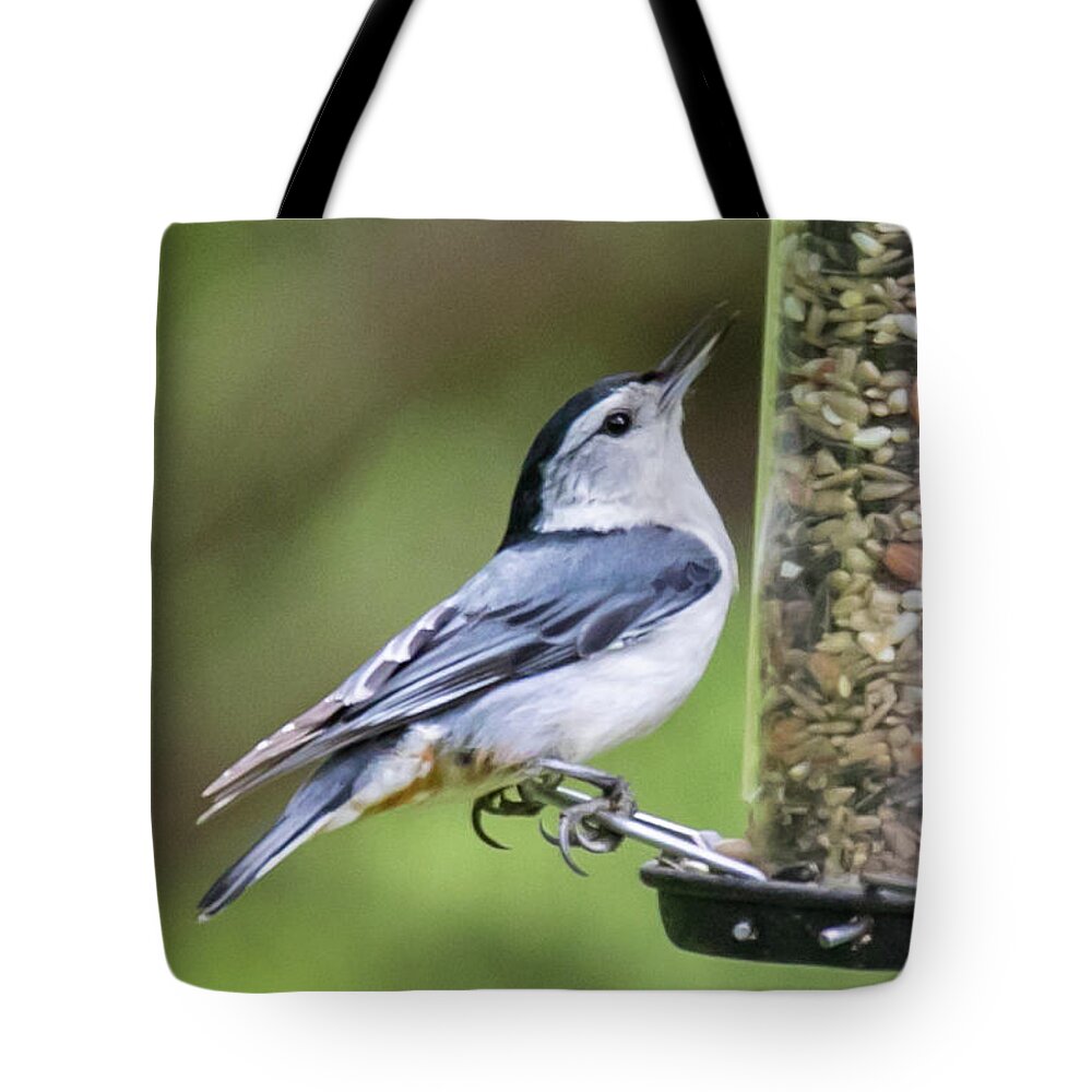 Print Tote Bag featuring the photograph White Breasted Nuthatch by Gerri Bigler