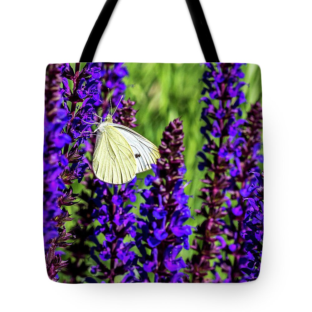 Flowers Tote Bag featuring the photograph White Butterfly by Louis Dallara