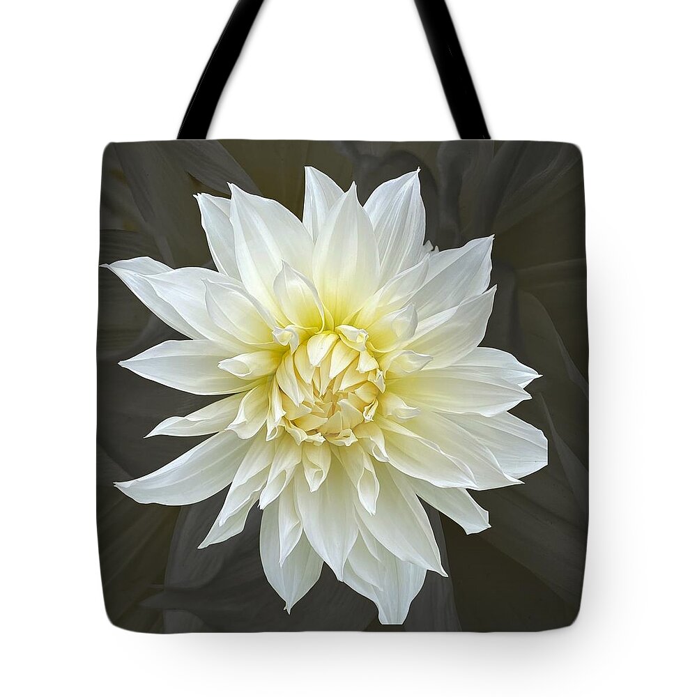Dahlia Tote Bag featuring the photograph White Cactus Dahlia by Jerry Abbott
