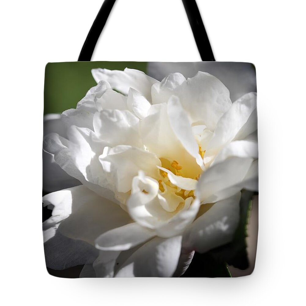 Camellia Tote Bag featuring the photograph White Camellia III by Mingming Jiang